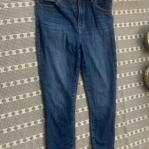 Abercrombie & Fitch Deep Blue Skinny Jeans